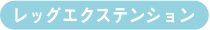 レッグエクステンション