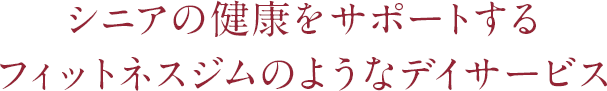 シニアの健康をサポートするフィットネスジムのようなデイサービス
